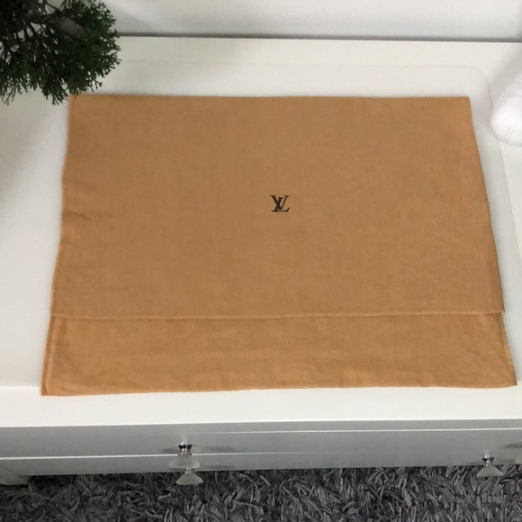 💙LV Vintage Dustbag ( Item #13 ) - Picture 4 of 10